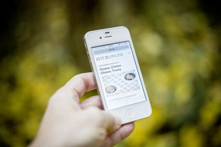 米兰体育APP-智能化体育测评系统开发与适用性分析，体育考试智能化测试仪器