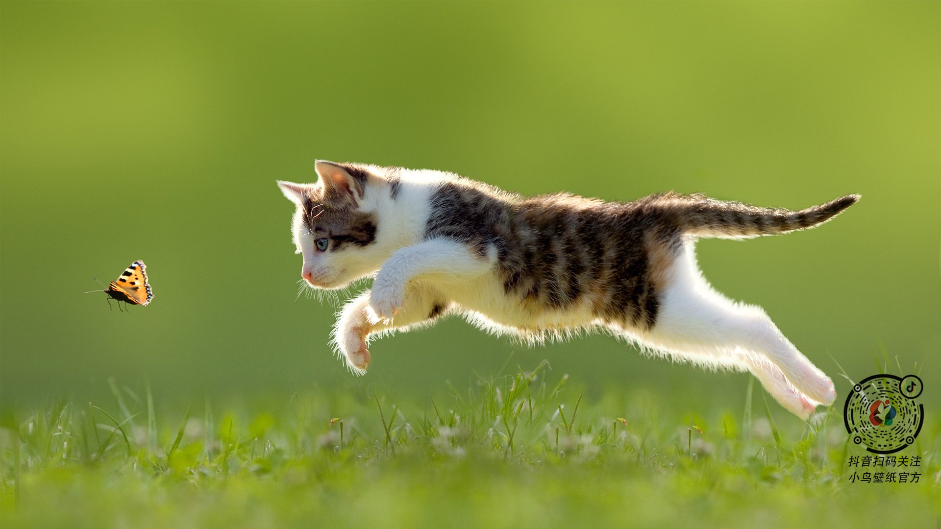 西甲球员在密集赛程中视觉注意力持续性研究,西甲明星球员