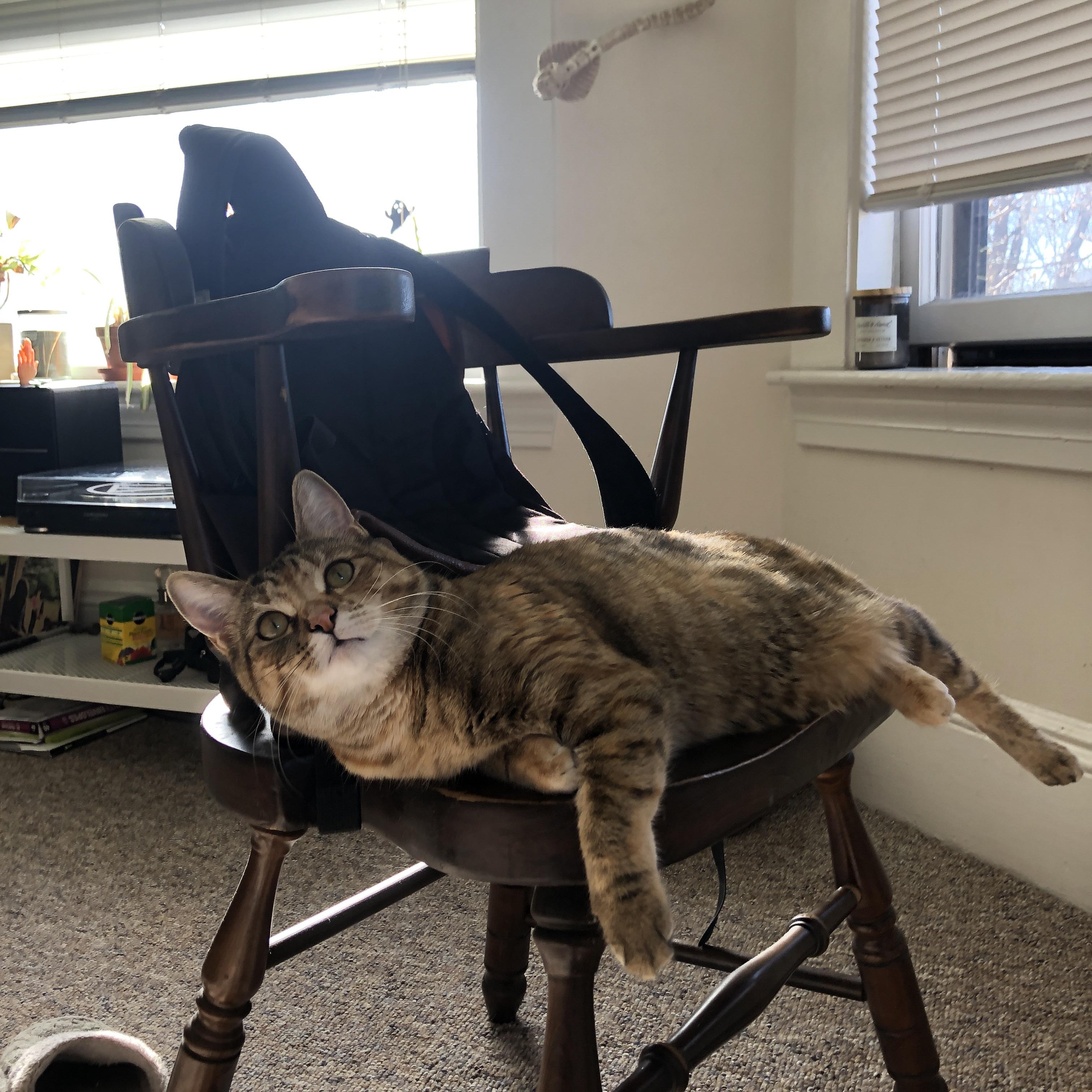 AI裁判全面应用，确保比赛公平公平与时俱进，ai裁判 体操