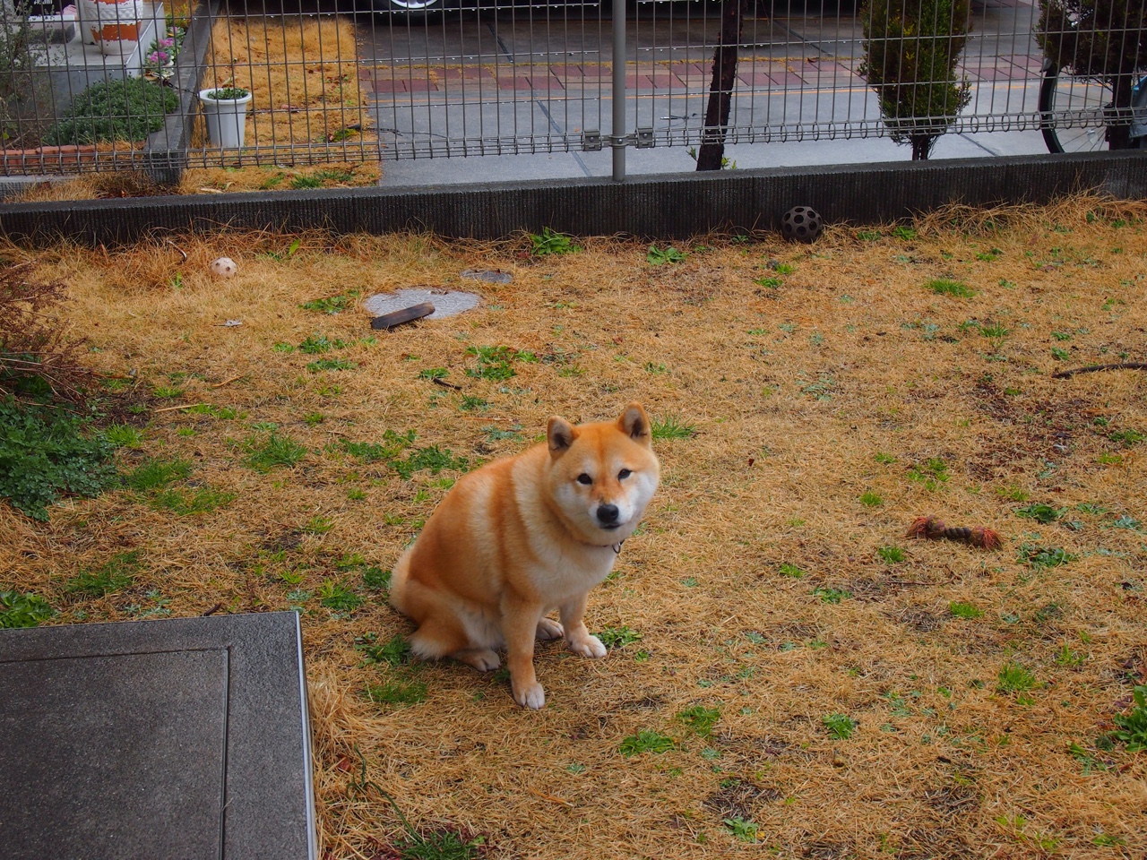 AC米兰-卡萨斯决赛表现超出预期，卡萨斯王