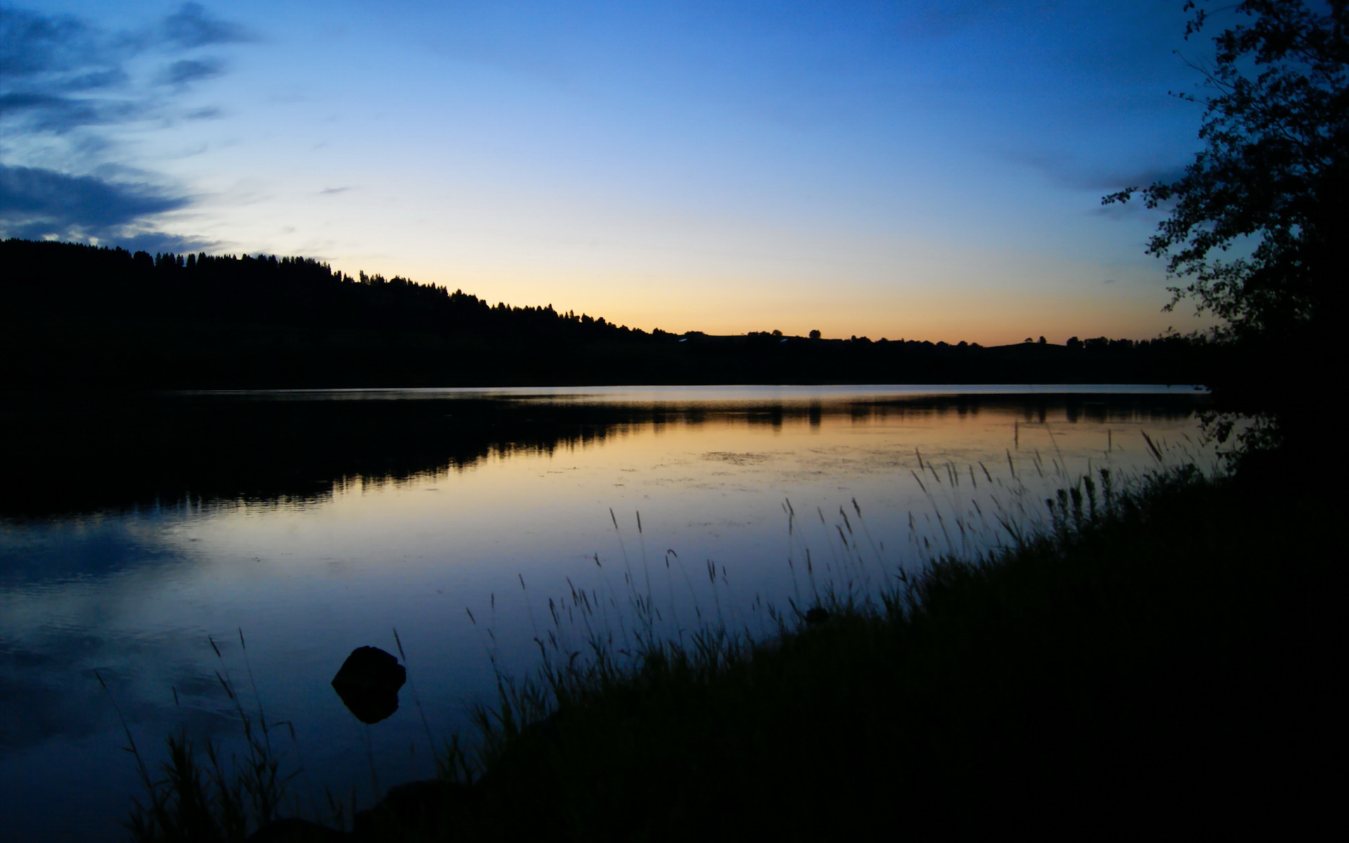 米兰体育APP-库里接受现场挑战三分球完美命中，库里三分是最准的吗