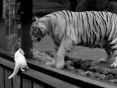 热火赛前热身动作更新保持竞技状态,热火比赛视频