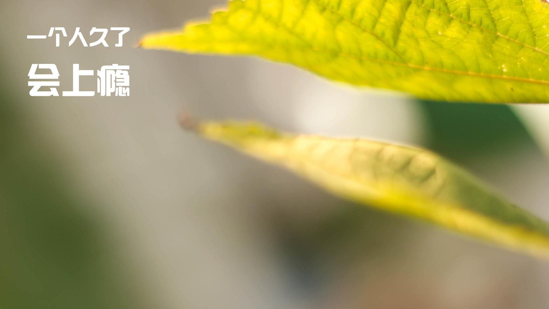 MILANSPORT入口-骑士全队参观球队历史展激发荣誉感，骑士队在哪