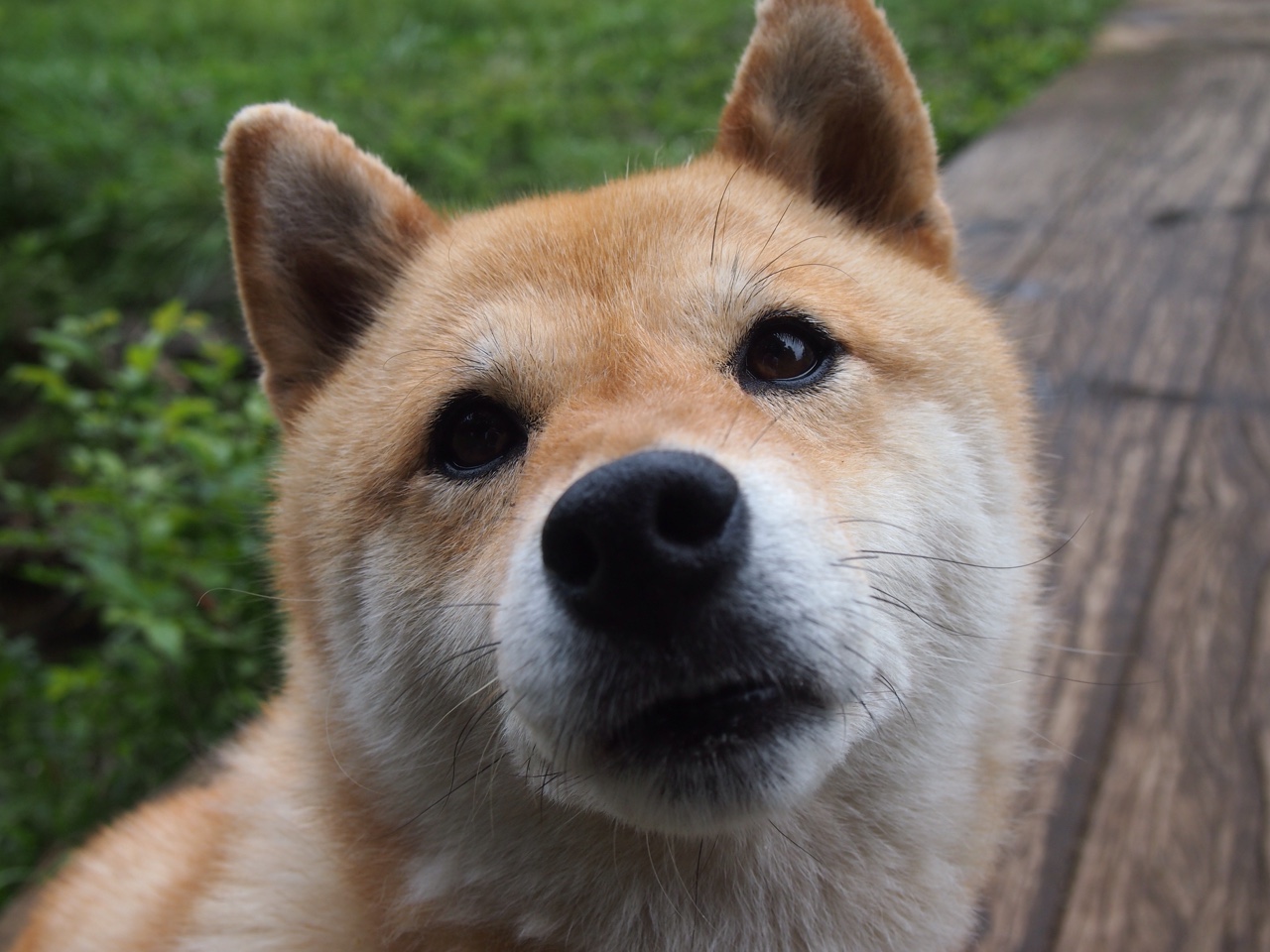 米兰体育-12场推荐汇总，005枪手防线成关键！