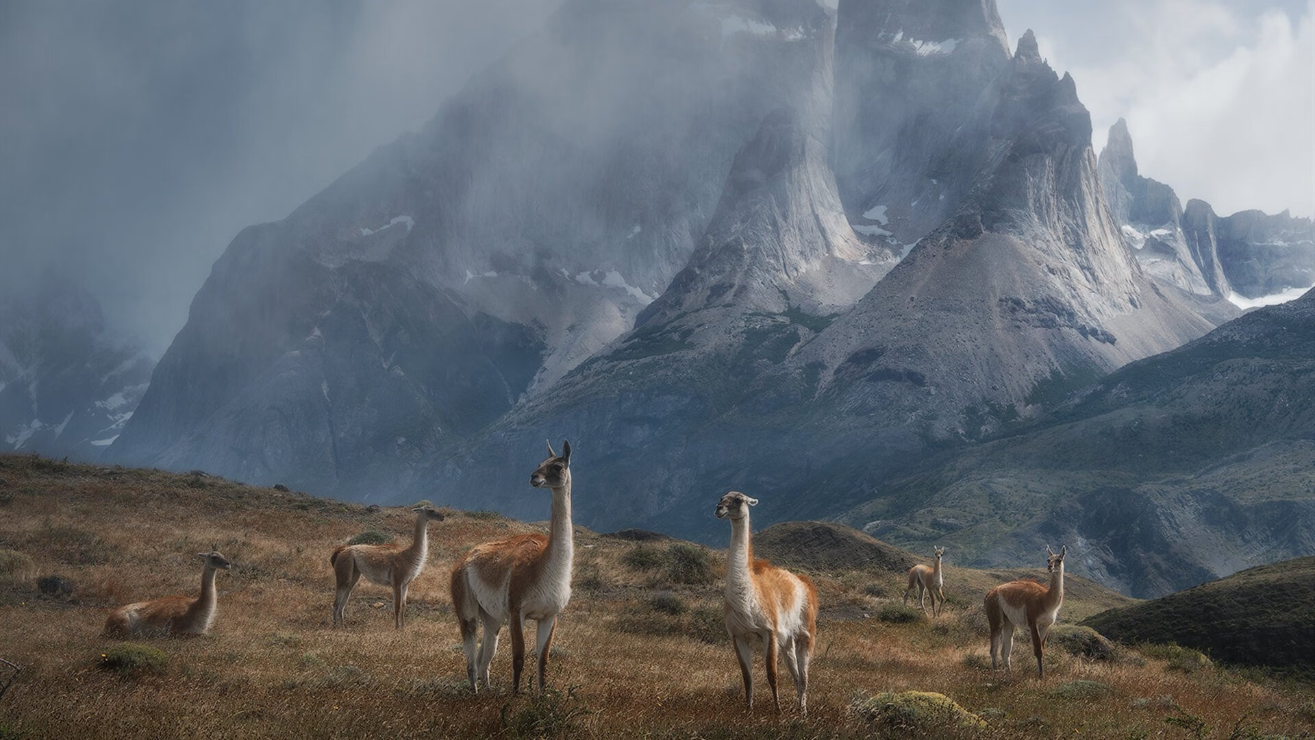 伊萨克训练照曝光：这腿长这动作，破门稳了！，伊萨克怎么用